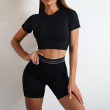 Seamless Pleated Yoga Clothes Two Piece Set Fitness Slimming Short Sleeve 2 Pieces