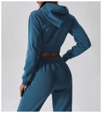 Womens Yoga Outfit Hooded Tops+Trousers Long Sleeve Jackets Long Pant Excerise Sport Gym Running Trainer Casual Elastic Sportwear Hoodies