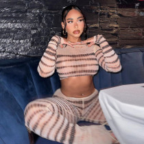Sexy Mesh See Through Printed Striped Crop Top High Waist Trousers 2 Piece