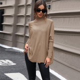 Solid Color Turtleneck Sweater