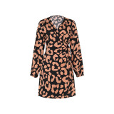 Allover Print Knot Side Wrap Dress