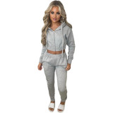 2023 Fleece Cropped Zip Up Hooded Tracksuit Pant Set