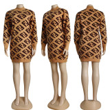 Loose Long Sleeve Round Neck Knitted Sweater Dress