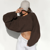 Women Y2K Chic Drop Shoulder Cropped Pullover Sweatshirt