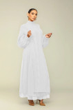 Hot Style Winter Long Sleeve Mesh Turtleneck Knitted Long Dresses