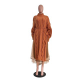 Hot Style Winter Long Sleeve Mesh Turtleneck Knitted Long Dresses
