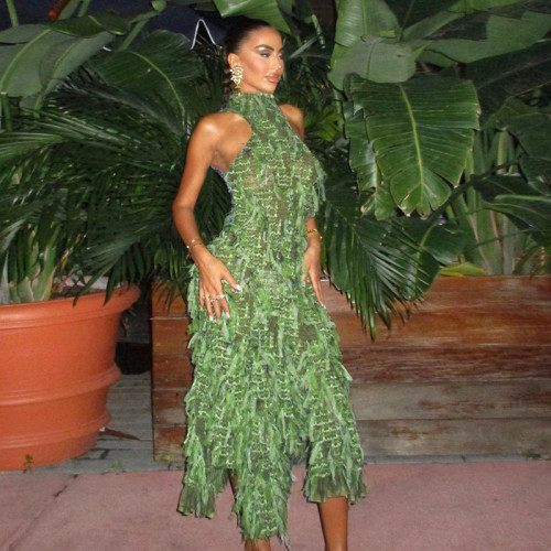 Sexy Turtleneck Sleeveless Backless Tassel See-through High Waist Long Dress