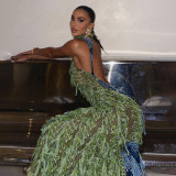 Sexy Turtleneck Sleeveless Backless Tassel See-through High Waist Long Dress