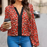 Allover Print V Neck Lantern Sleeve Blouse