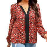 Allover Print V Neck Lantern Sleeve Blouse