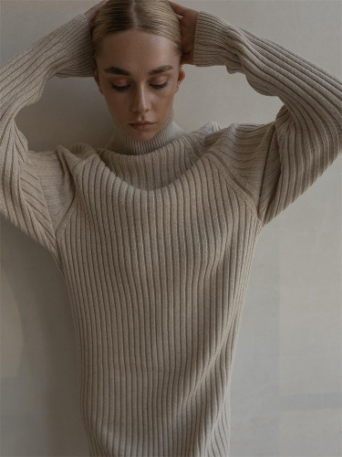Women's Casual Wear Cozy Long Sleeves and High Neck Thick Knit Sweater Dress