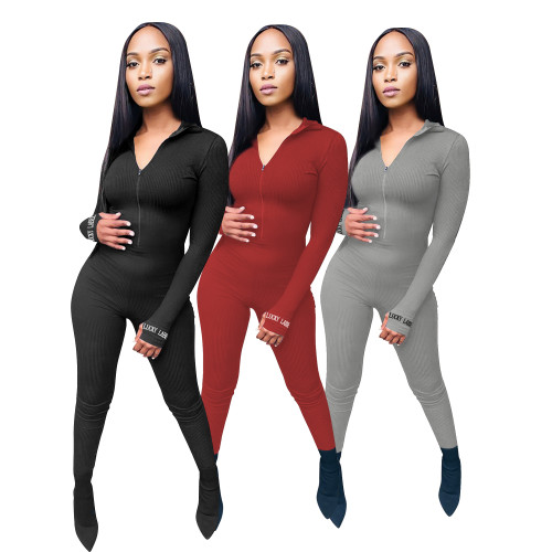 Women's Bodycon Embroidery Zipper V Neck One Piece  Jumpsuits