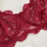 Lace and Mesh Sheer Sexy Lingerie Set