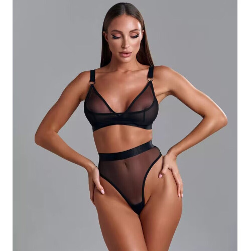 Seductive Sheer Mesh Lingerie Set