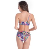 Summer Beach Single Shoulder Print Surf Plus Size Swimwear Bikini Set