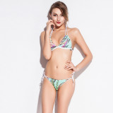 Color Block Bikini Hot Selling Printed Mesh Swimsuit
