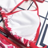 Classic Bikinis Set Swimwear Fashion Print Swimsuits