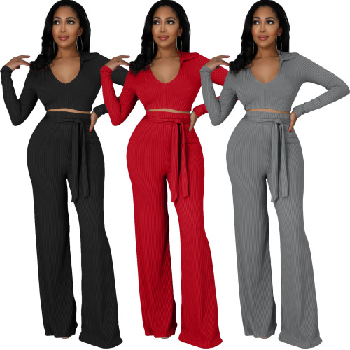 Casual Thicken 2 Piece Outfits Long Sleeve Pit Crop Top Wide Leg Pants Set