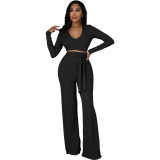 Casual Thicken 2 Piece Outfits Long Sleeve Pit Crop Top Wide Leg Pants Set