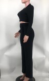 Casual Thicken 2 Piece Outfits Long Sleeve Pit Crop Top Wide Leg Pants Set