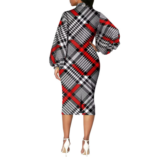 Digital Print Long Sleeve Round Neck Women's Dress