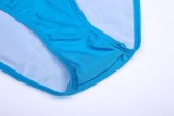 Bikini Back Cross Hollow Backless Swimsuit Beach Split Swimsuit
