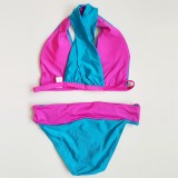 Bikini Back Cross Hollow Backless Swimsuit Beach Split Swimsuit