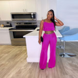 Pleated Patchwork Ribbon Solid Color High-Waisted Wide Leg Two-Piece Set