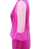 Pleated Slim Fit V-Neck Mesh Patchwork Long Sleeve Jumpsuit