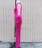 Pleated Slim Fit V-Neck Mesh Patchwork Long Sleeve Jumpsuit