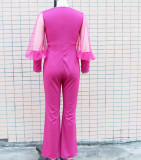 Pleated Slim Fit V-Neck Mesh Patchwork Long Sleeve Jumpsuit