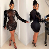 Women Solid Mesh Beaded Long Sleeve Mini Dress