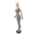 Summer New Fashion Print Sleeveless Vest & Tight Trousers
