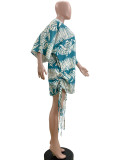 2024 Spring V Neck Printed Elegant Dresses