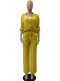 Casual Solid Buttons Shirt Collar Long Sleeve Two Pieces