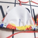 Summer Beach Swimming Padded Printed Bikini Set