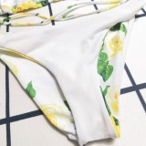 Summer Beach Swimming Padded Printed Bikini Set