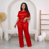 Sequined Solid Color Short Sleeve and Long Pants Two-Piece Set