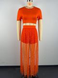 Beaded Perspective Mesh Skirt Short Sleeve Crop Top Three-Piece Set