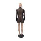Fashion Perspective Mesh Shirt