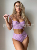 Alluring Plaid High-Waist Bikini Swimsuit