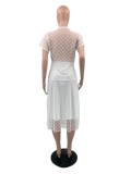 Mesh Lining Short Sleeve Tops & Long Skirt 2 Pieces