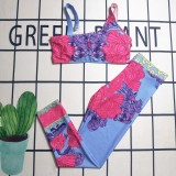 Summer Printed Padded Swimsuit Sleeveless Bra Crop Top & Trousers Two Piece