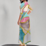 1 Piece Custom Casual Print V Neck Long Sleeve Maxi Dresses