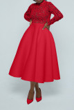 Elegant Lace Paneled A-line Swing Dress