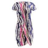 1 Piece Custom Casual Print Basic O Neck Irregular Club Dresses