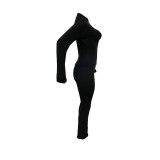 Fashion Plain Standing Collar Long Sleeve Zipper Design Top And Pants Set