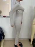 Fashion Plain Standing Collar Long Sleeve Zipper Design Top And Pants Set