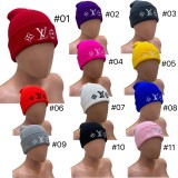 Embroidered Knitted Cap