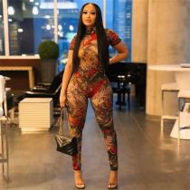 Sexy Backless Graphic Print See-through Mesh Jumpsuit